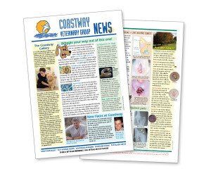 Newsletters Printing