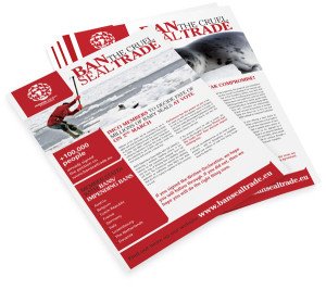 Newsletters Printing