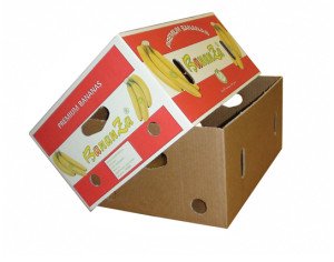 Fruit Corrugate Box