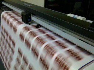 Full Color Decals Printing